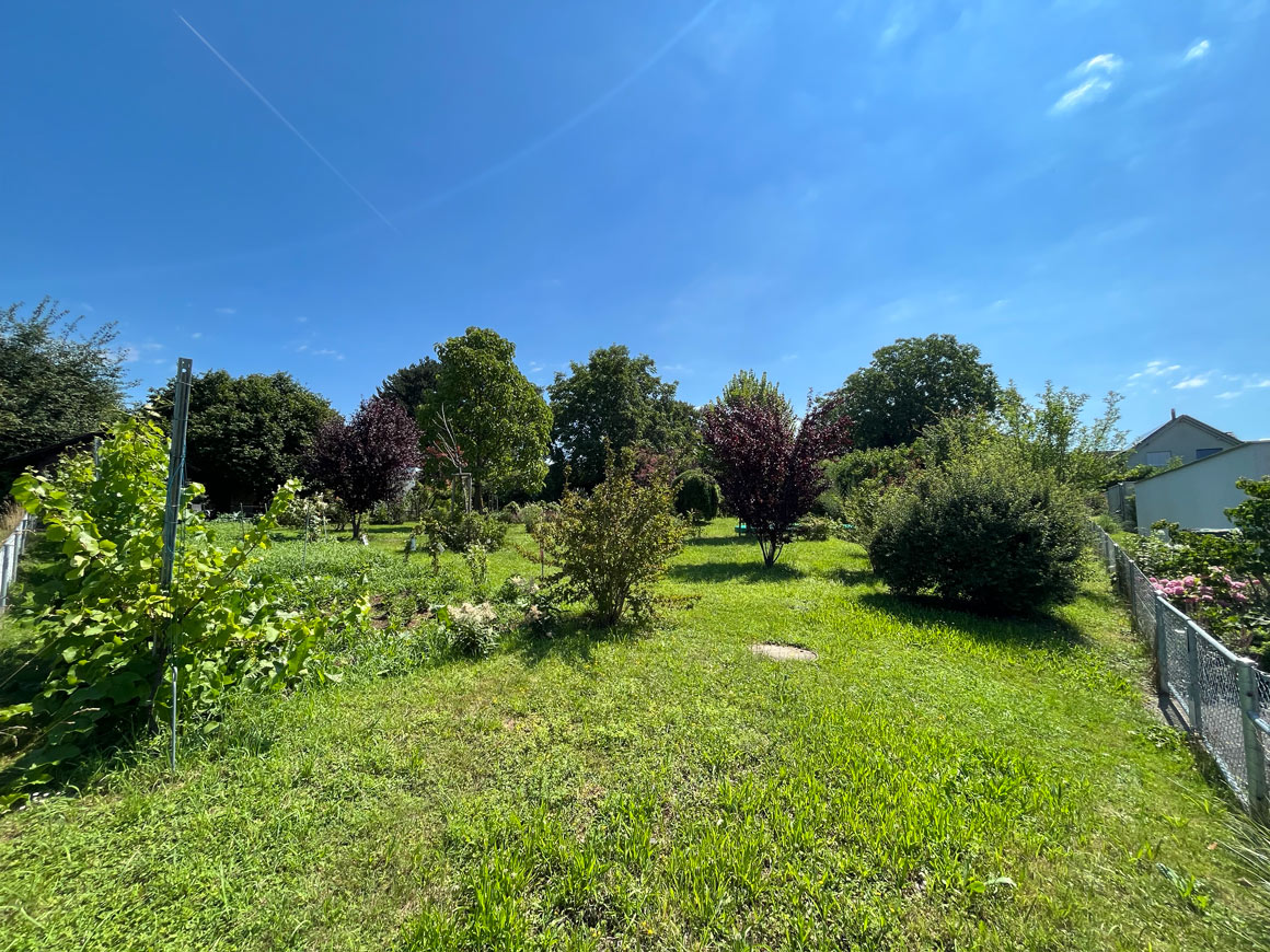 VERKAUFT-Scherzingen-Grundstück_web